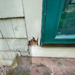 Closeup of corner of door where rot damage is evident