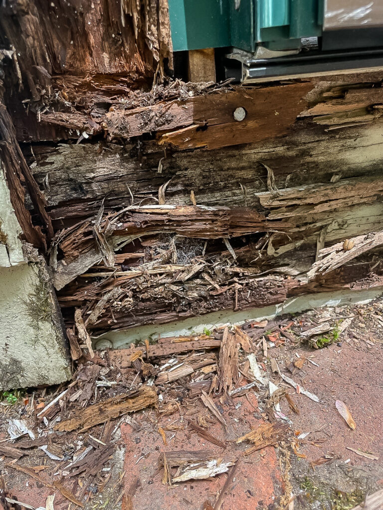 extensive rot damage to one area of the doorframe